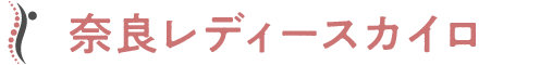 奈良レディースカイロ